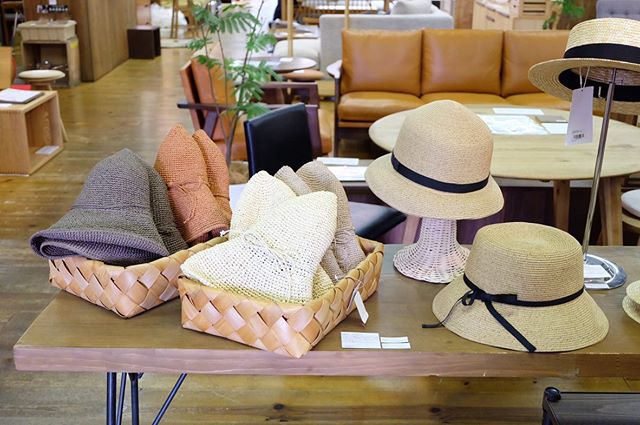 .今年の夏の帽子とかごバッグを展示しました！クラスカの新作・ペーパーブレードハットやキッズ麦わら帽子、田中帽子店のカンカン帽、毎年人気の和紙の帽子など、たくさんご用意してします。ぜひご覧ください〜〜.#デイリーズ#デイリーズカフェ#三鷹#三鷹カフェ#ハミングバード#hummingbird#田中帽子店#和紙の帽子#クラスカ#claska#ペーパーブレードハット#洗える帽子#ootd#夏コーデ#夏準備#帽子