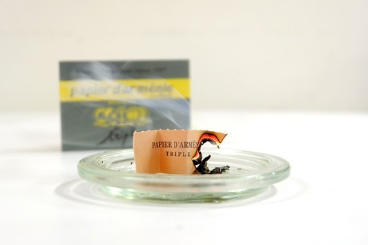 空気を浄化する紙のお香「パピエダルメニィ」が久し振りに入荷しました！安息香の木から採取した樹脂を含有し、立ち上る煙は空気を浄化してくれて、風邪の感染予防にも効果があります。お部屋の換気ができないときの空気のリフレッシュにぴったりです。. 本来は焚いて使用するお香ですが、このままタンスやお財布に入れたり、本の栞として使ったり、手紙へ入れたり…と、用途はさまざま。旅のお供にもおすすめです。.ベビーパウダーのような優しい香りの「トラディショナル」ローズにフルーティーさが加わった「ローズ」ウッディーバニラの芳しい香り「アルメニィ」の3種類です。.#デイリーズ#デイリーズカフェ#三鷹#三鷹カフェ#中央線カフェ#パピエダルメニィ#papierdarmenie